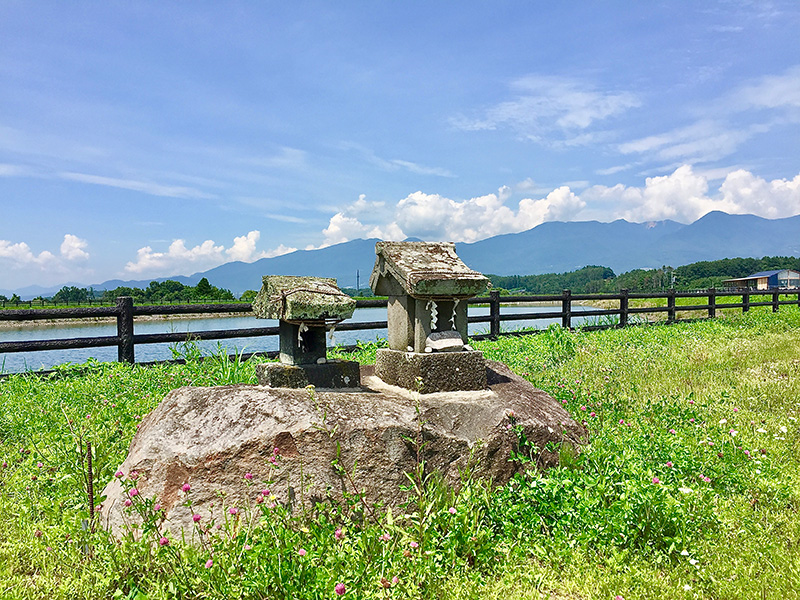 60km離れた湖から引かれたワイナリー脇のため池の写真