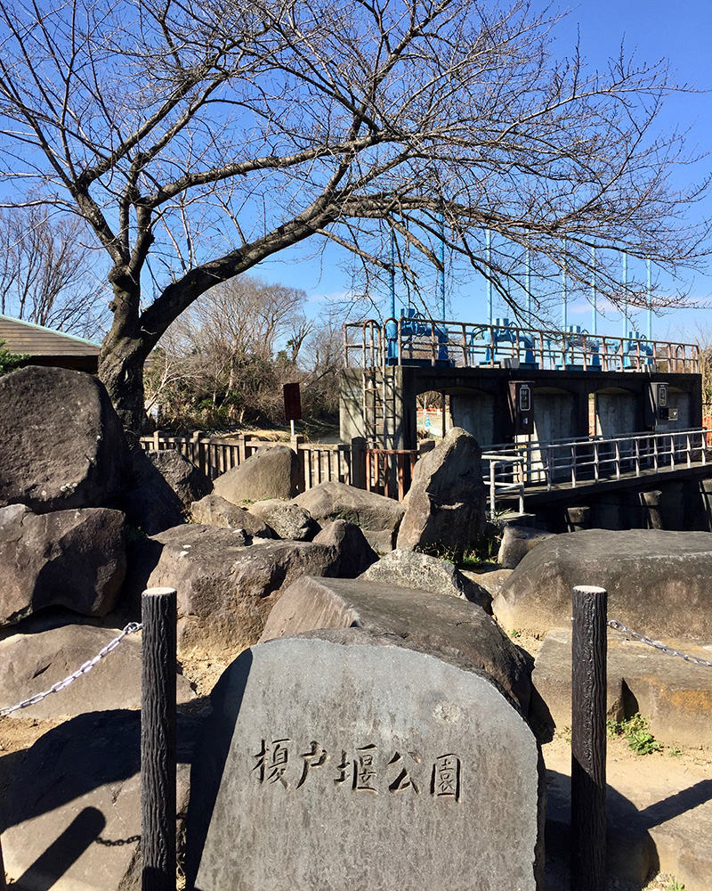 榎戸堰公園の写真