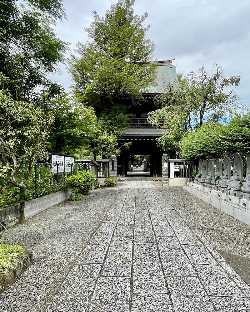 高安寺の境内を奥に進んでいく写真