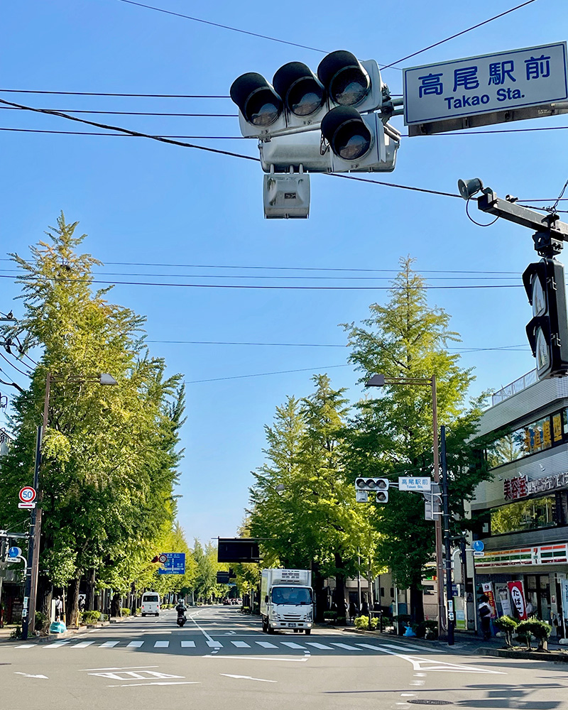 八王子から高尾まで続くイチョウ並木の写真