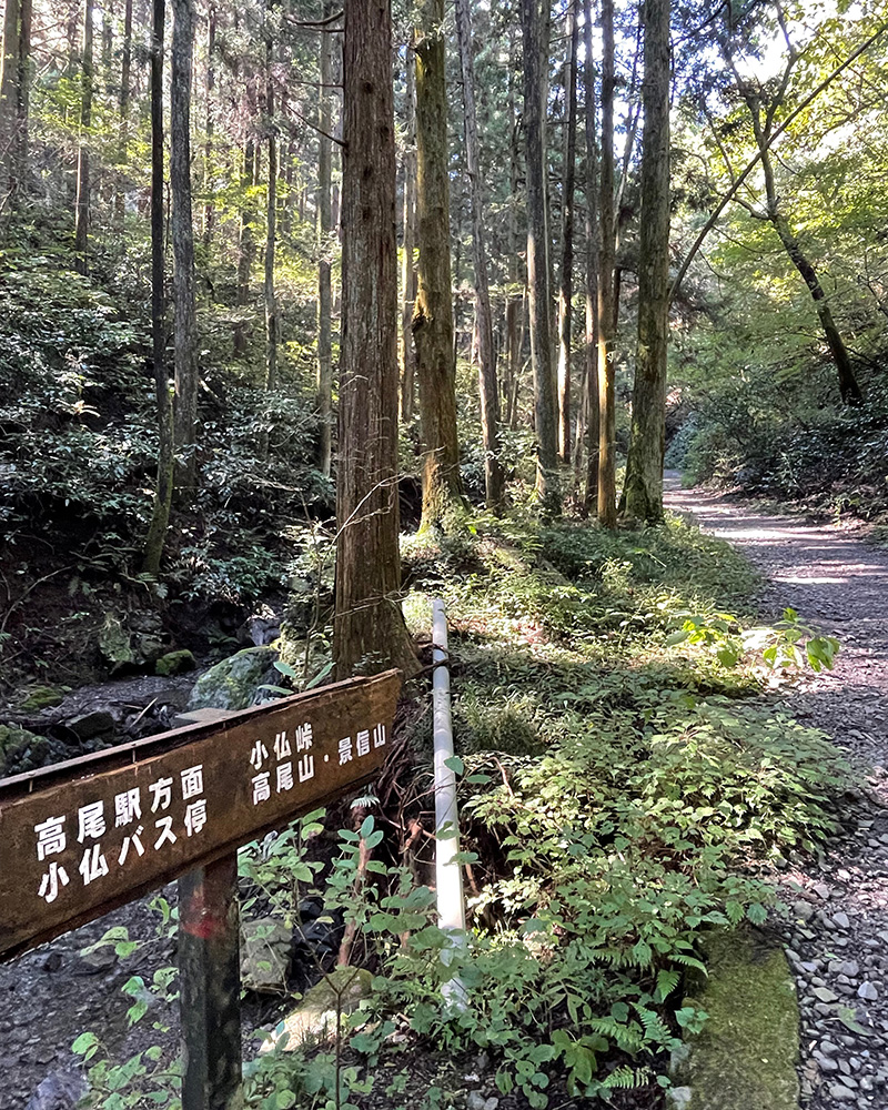 小仏峠へと甲州街道は続いていく写真