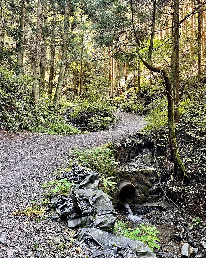 小仏峠まで静かな山道が続く写真