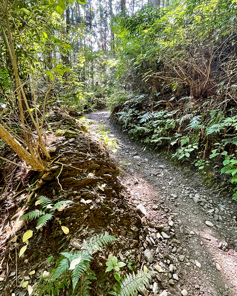 下山者とすれ違う写真