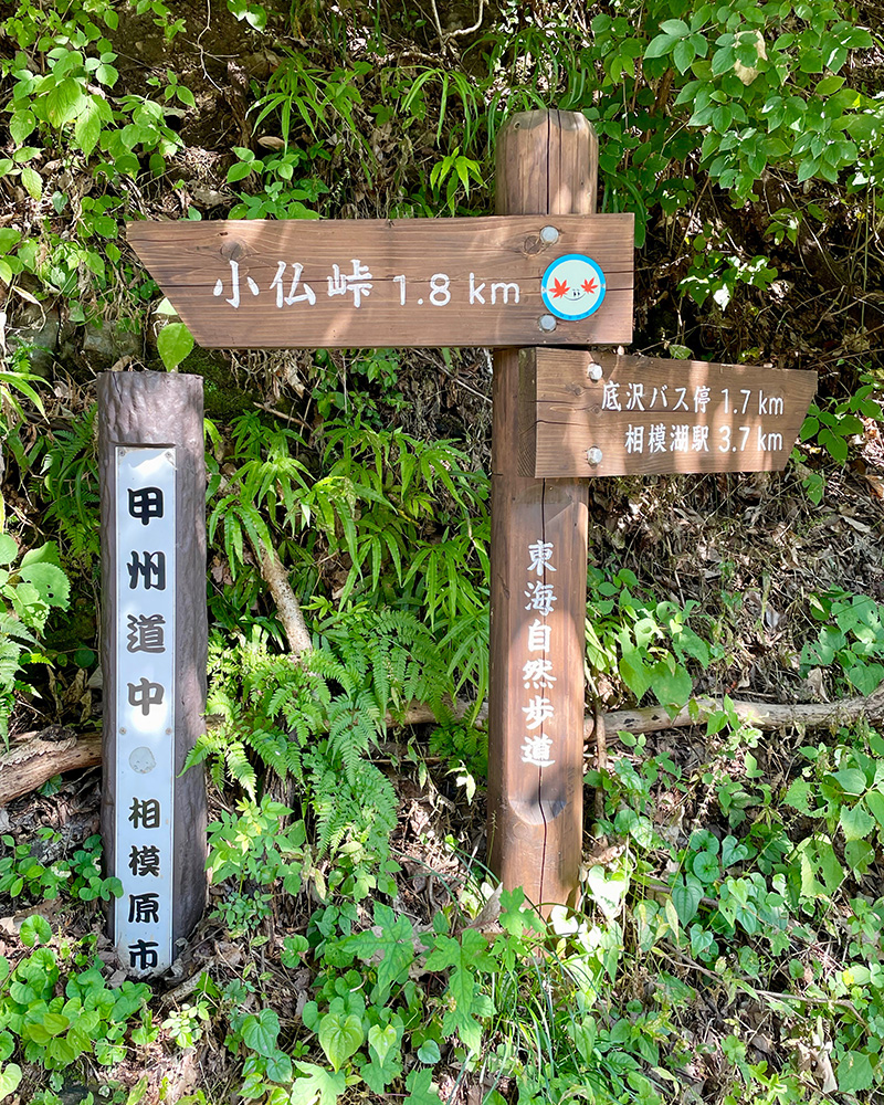 この標識に従い、相模湖駅方面への写真