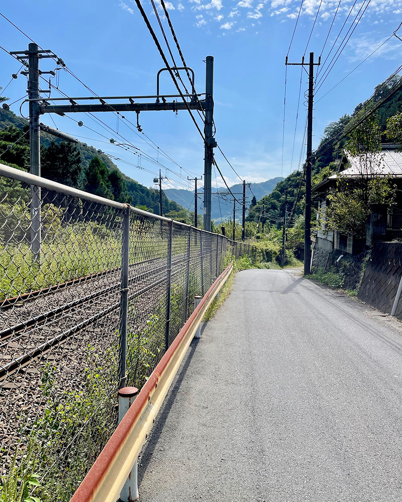 線路脇の気持ちの良い道を歩く写真