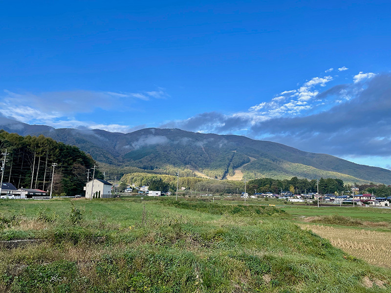 朝の入笠山の写真