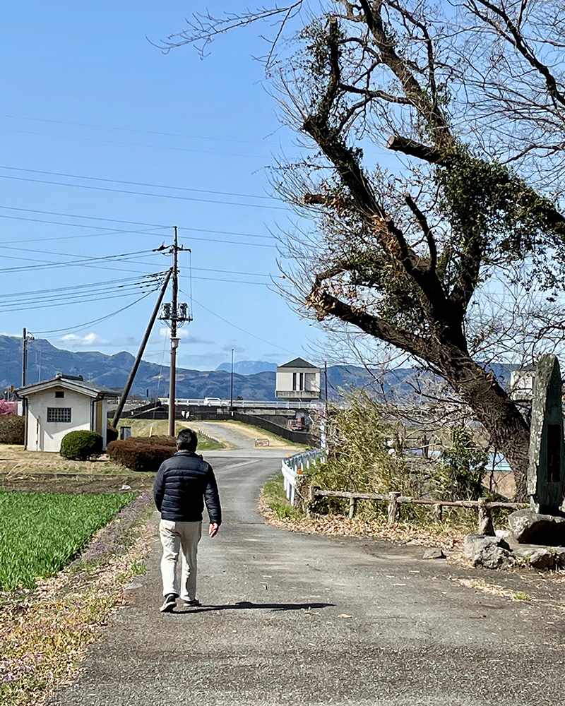 散歩の男性が去っていく写真