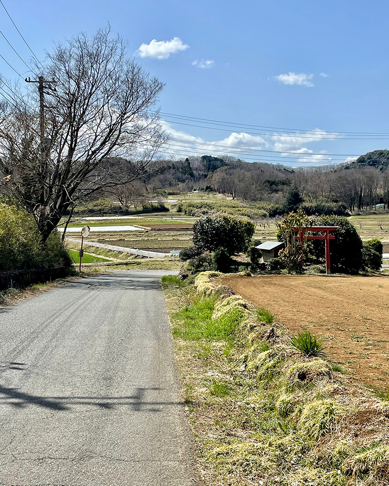 四ッ山城へと続く道の写真