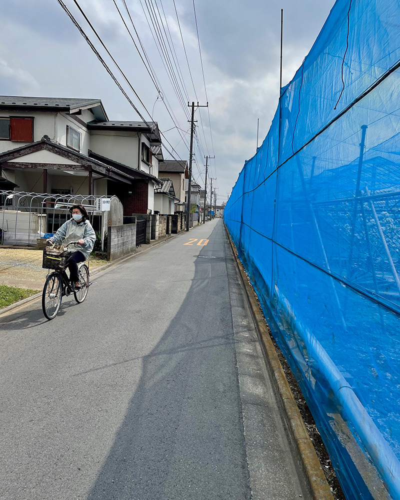 青いネットの向こうはブドウ園の写真