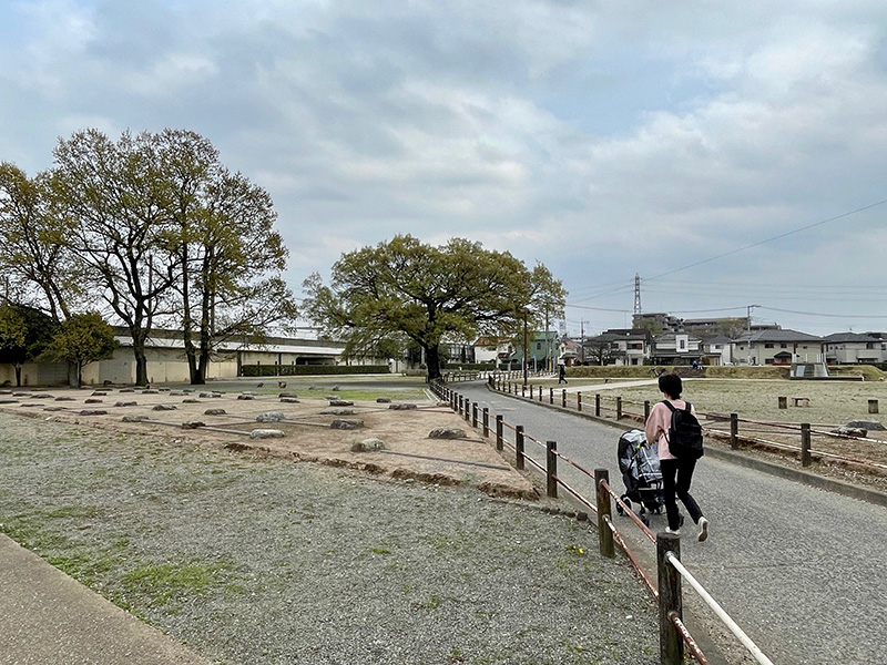 武蔵国分尼寺跡の写真