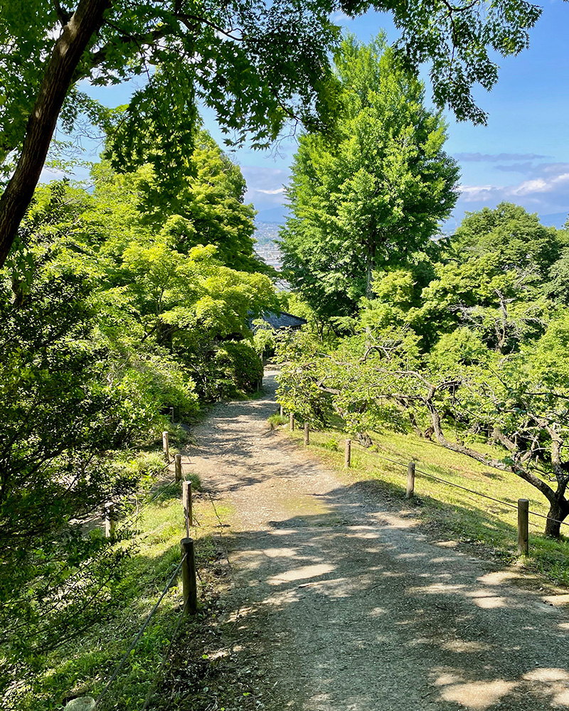 洗心亭へと坂道を下るの写真