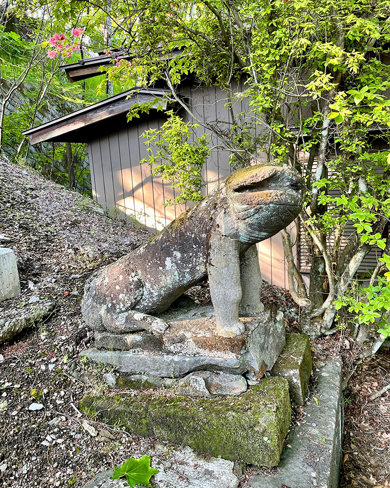 )ウナギ犬みたいだの写真