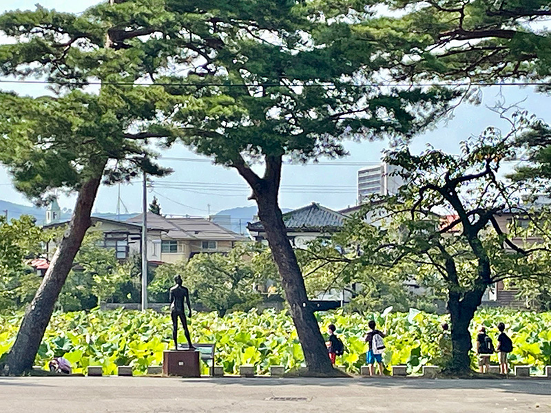 高田城外堀は「東洋一」と称されたハス園の写真