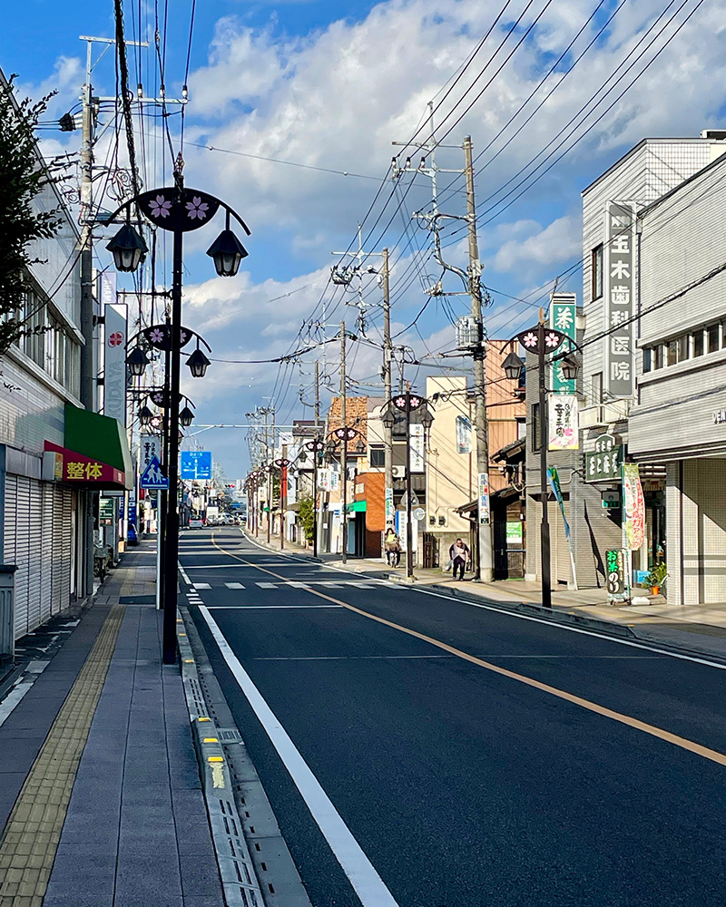 幸手宿の街並みの写真