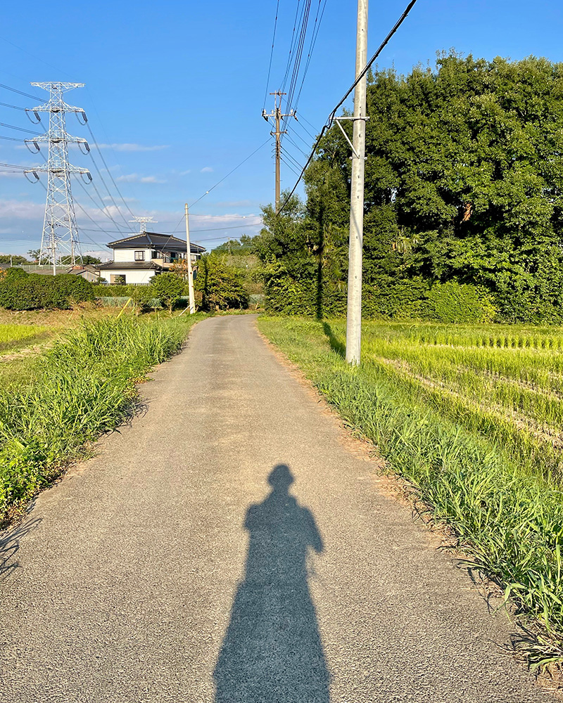 日が傾いてきた写真