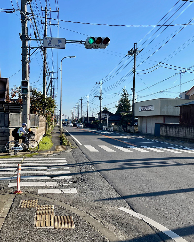 野木宿には、かつて松並木があった写真