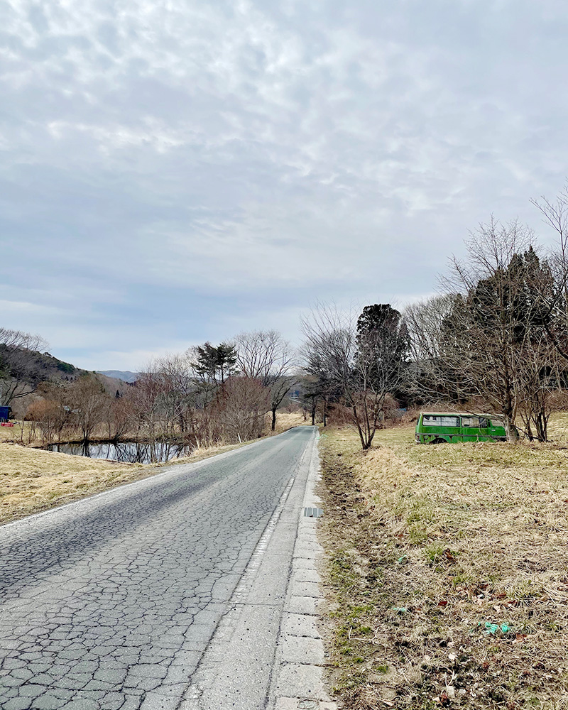 緑のヒッピーバスが置き去りにされていた写真