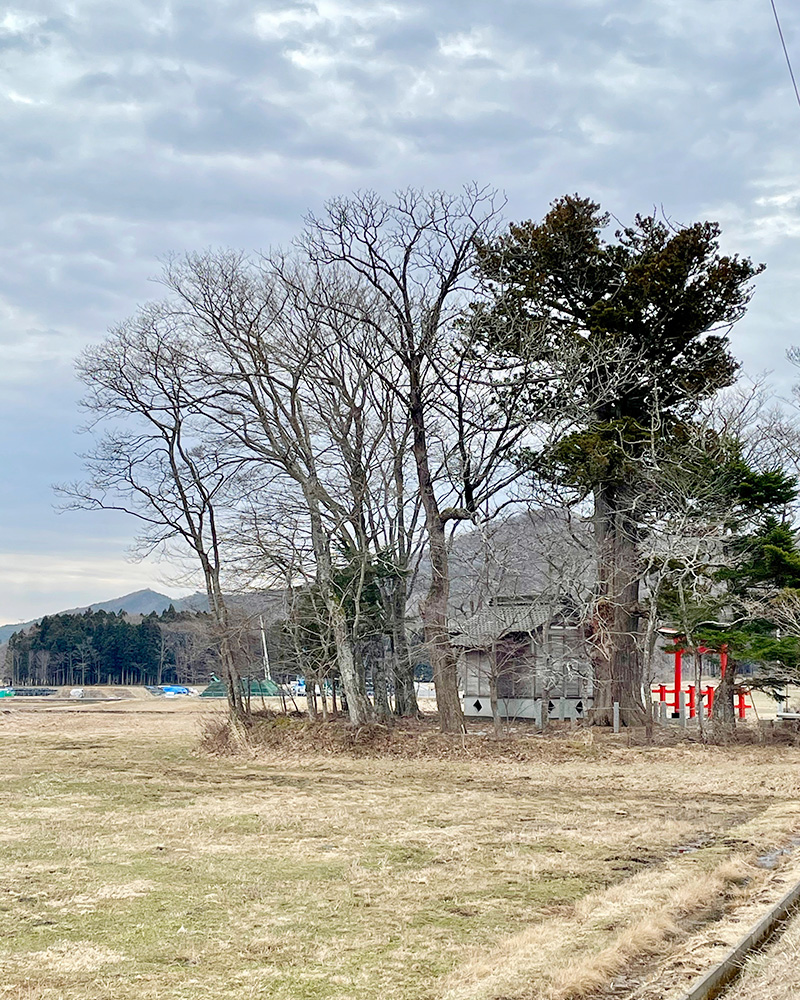 田神社の写真