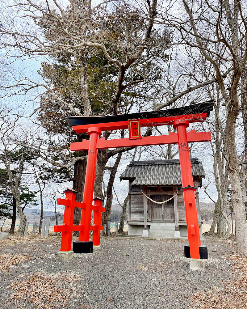 丁寧に参拝する写真